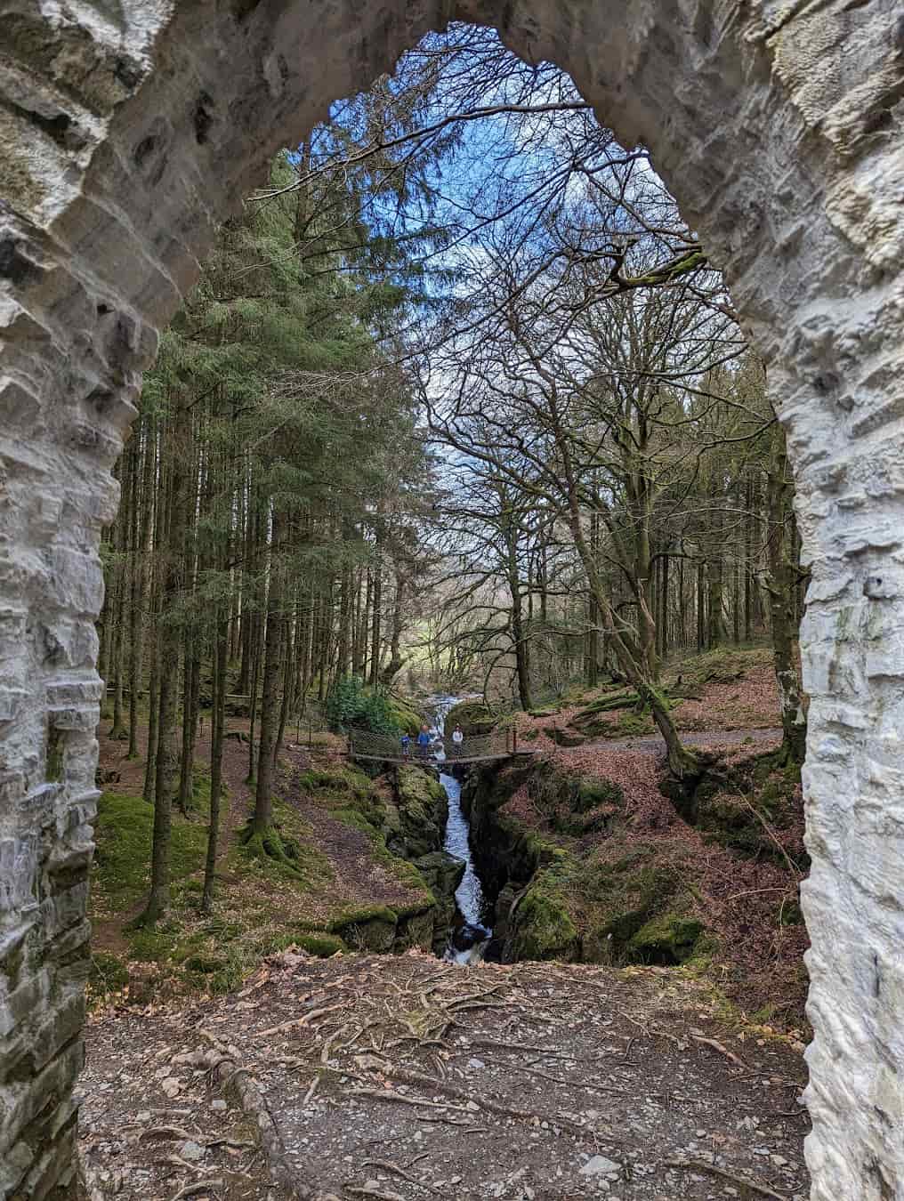 Hafod Estate Forest, England Hafod Estate Forest, England