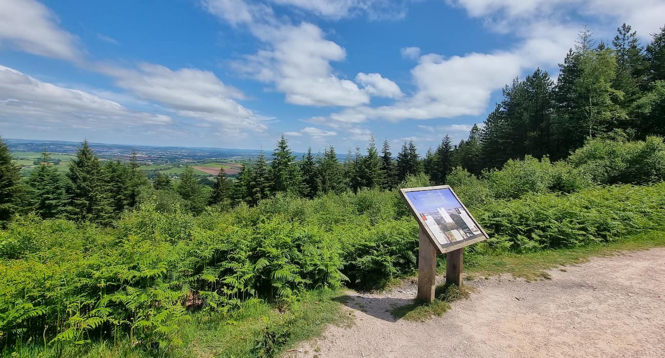 Haldon Forest Park Haldon Forest Park