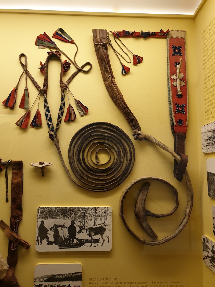 Harness and whip, Arctic University Museum Harness and whip, Arctic University Museum