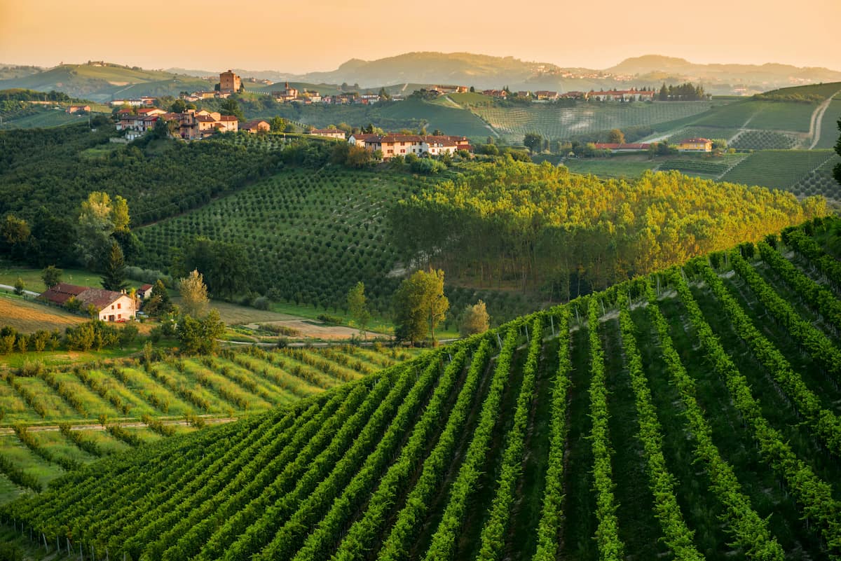 Italy_Langhe Italy, Langhe