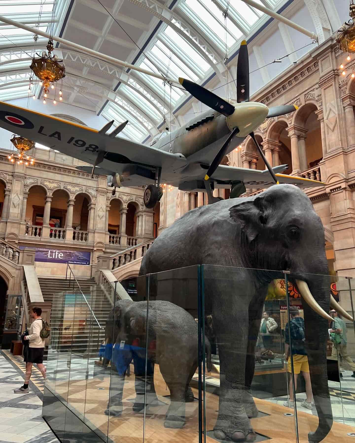 Kelvingrove Art Gallery Scotland Kelvingrove Art Gallery Scotland