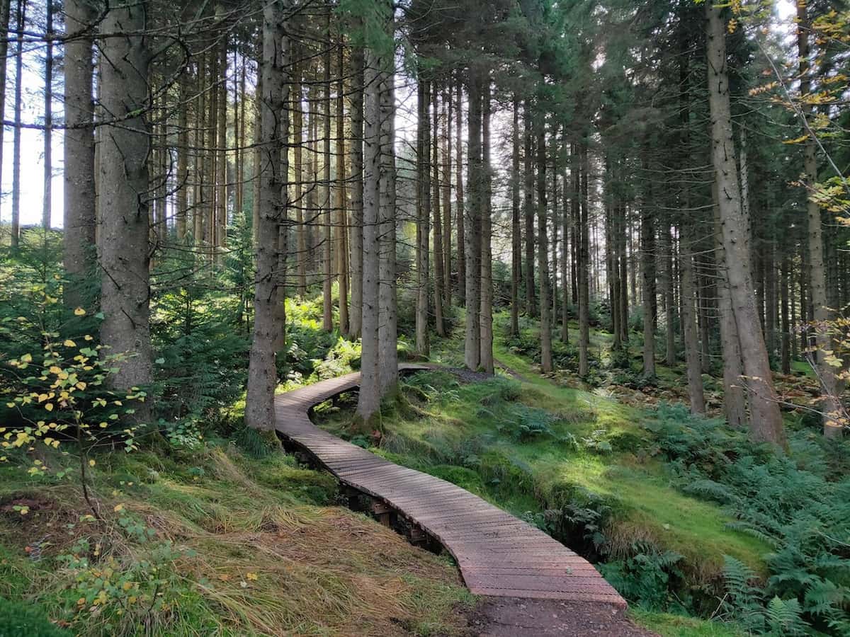 Kielder Forest, England Kielder Forest, England