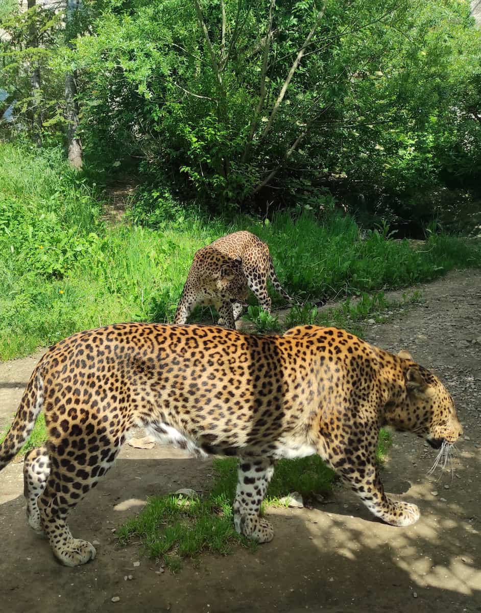 La Barben Zoo La Barben Zoo