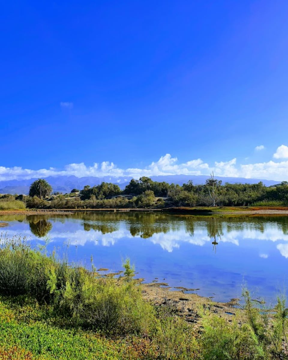 La Charca Lagoon, Maspalomas La Charca Lagoon, Maspalomas