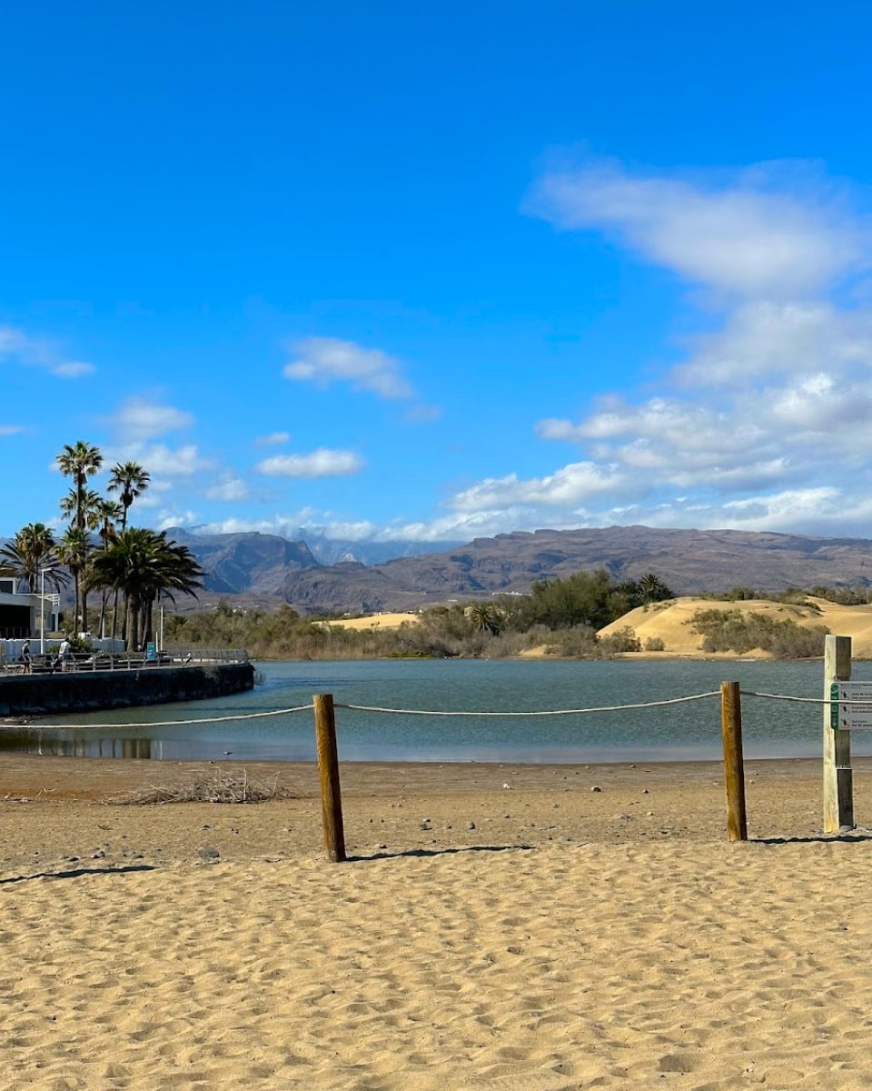 La Charca Lagoon, Maspalomas La Charca Lagoon, Maspalomas