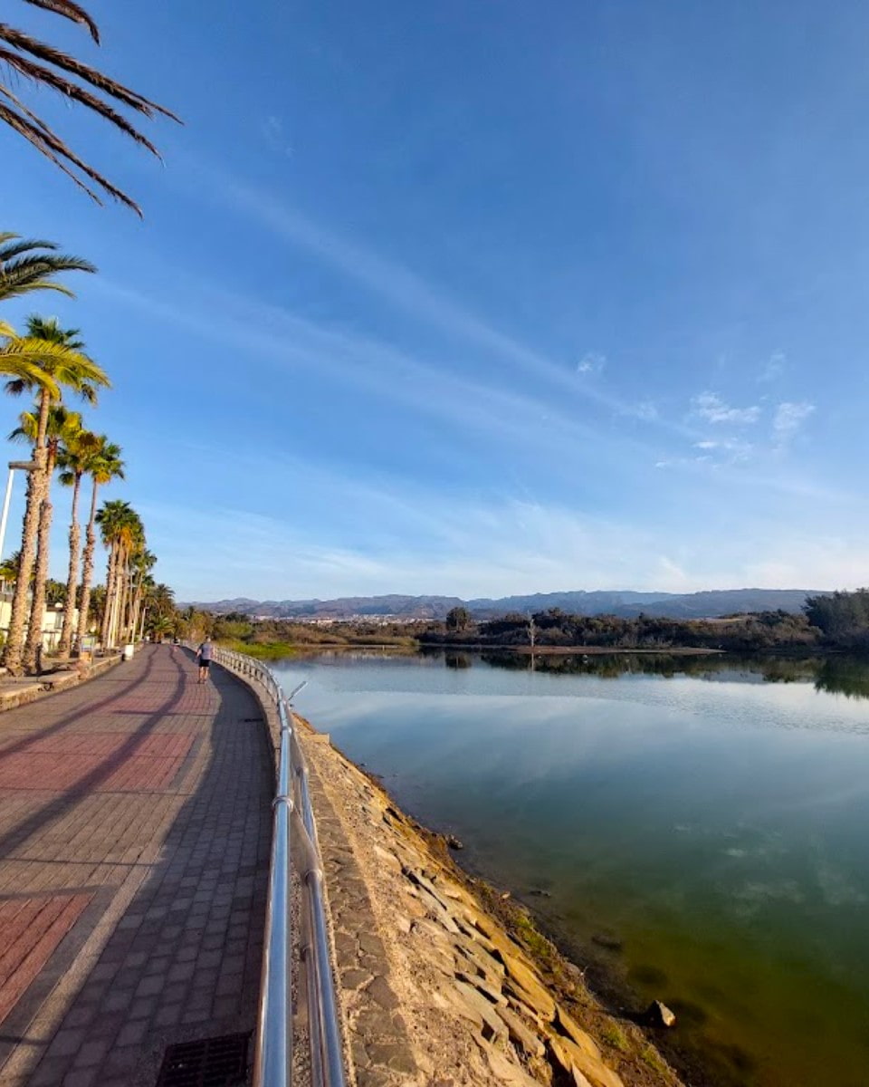 La Charca Lagoon, Maspalomas La Charca Lagoon, Maspalomas