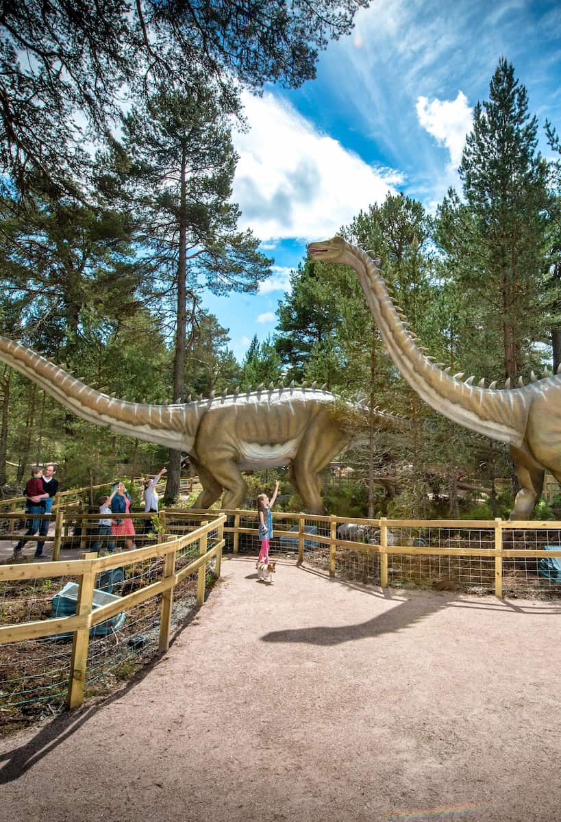 Landmark Forest Adventure Park Landmark Forest Adventure Park