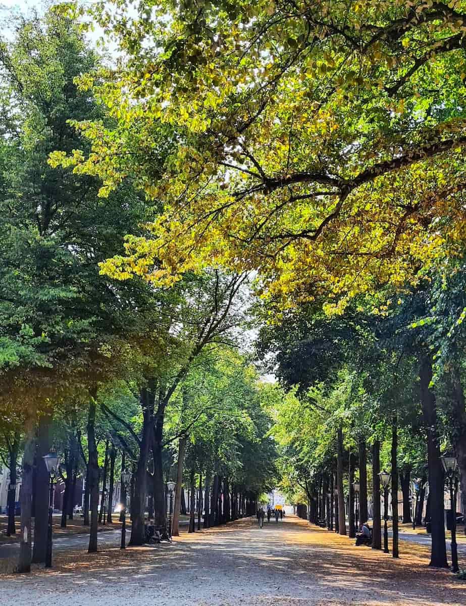 Lange Voorhout, Hague Lange Voorhout, Hague