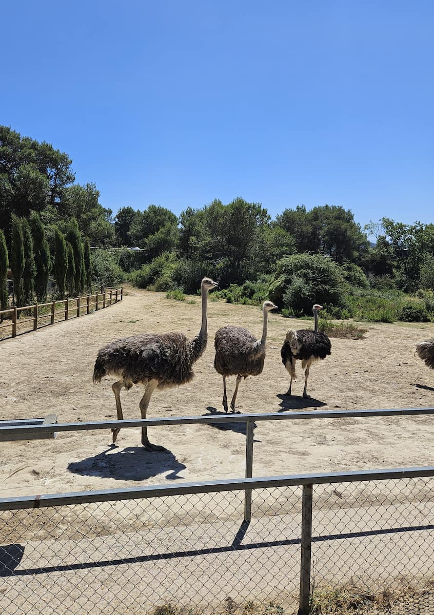 Le Parc Australien Le Parc Australien