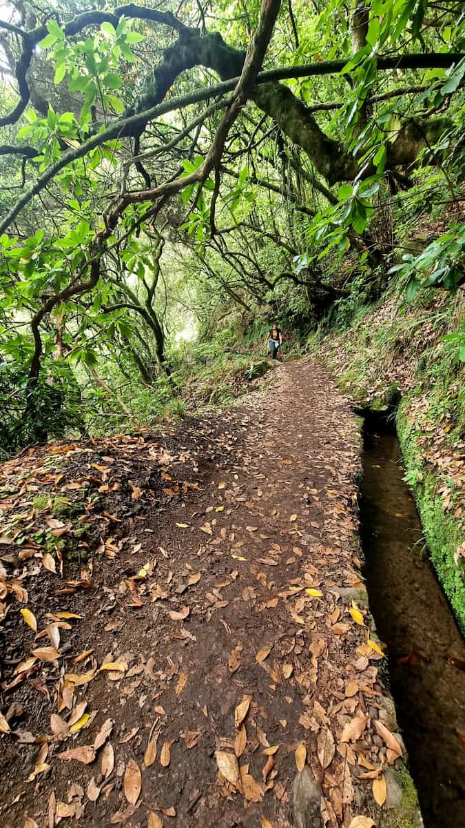 Levada do Caldeirão Verde Madeir Levada do Caldeirão Verde Madeir