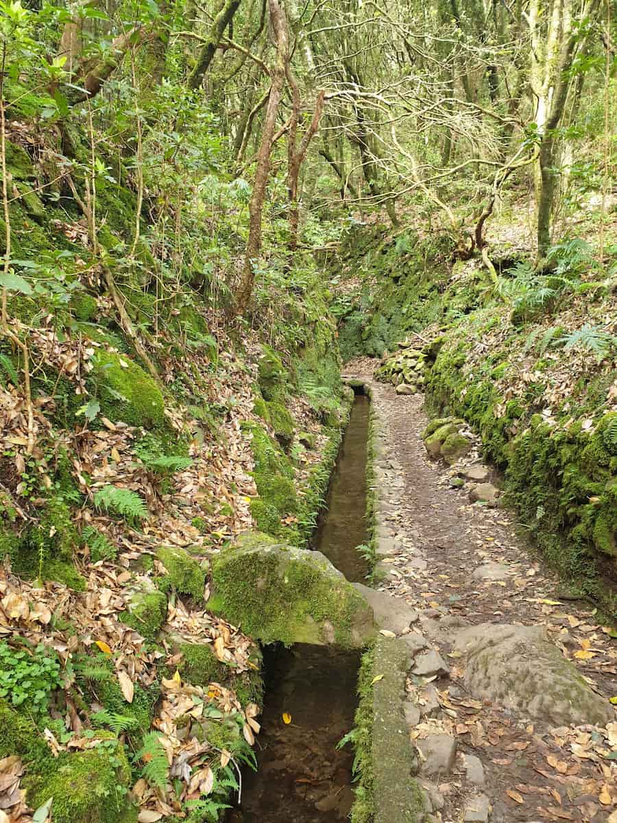 Levada do Caldeirão Verde Madeir Levada do Caldeirão Verde Madeir