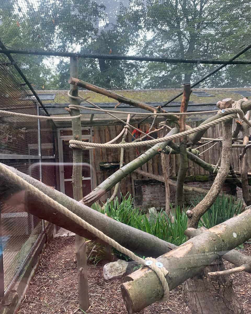 Lille Zoo Lille Zoo