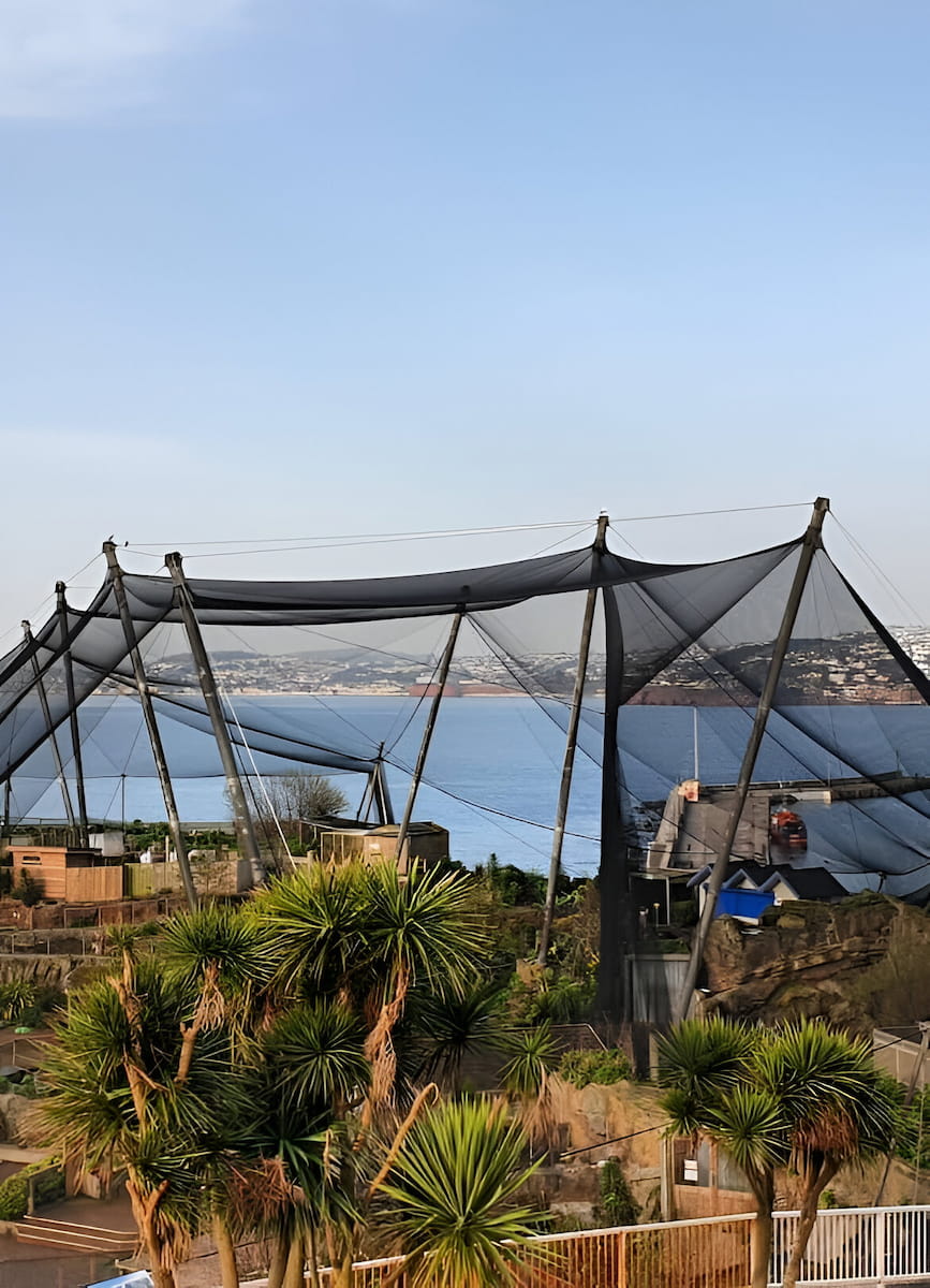 Living Coasts Torquay Living Coasts Torquay