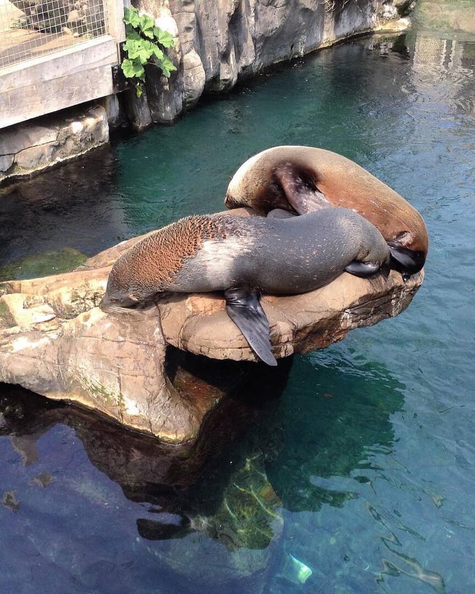 Living Coasts Torquay Living Coasts Torquay