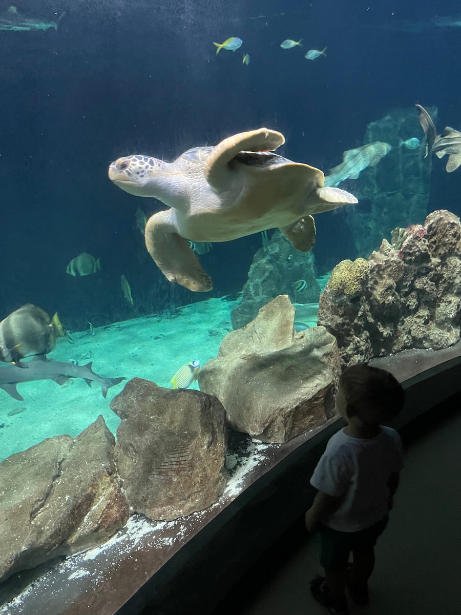 Livorno Aquarium Tuscany Livorno Aquarium Tuscany