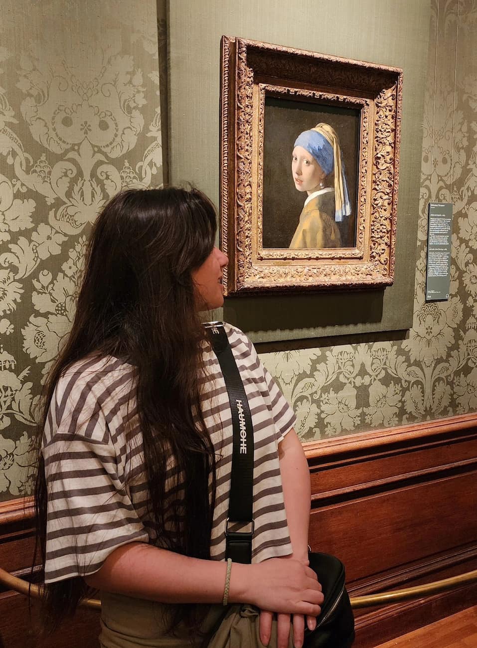 Mauritshuis Museum, Hague Mauritshuis Museum, Hague