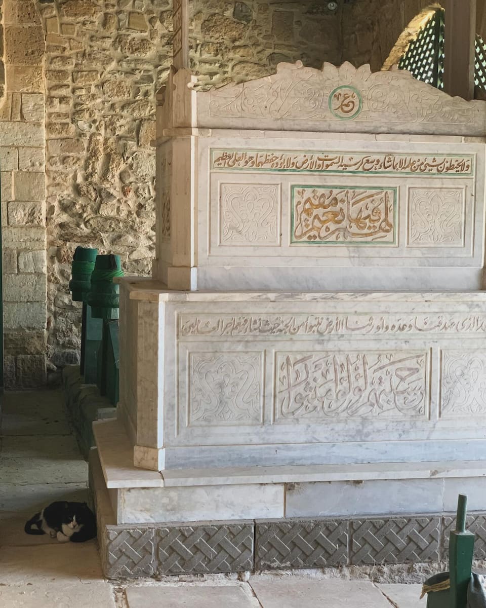 Hala Sultan Tekke Mosque, Larnaca Hala Sultan Tekke Mosque, Larnaca