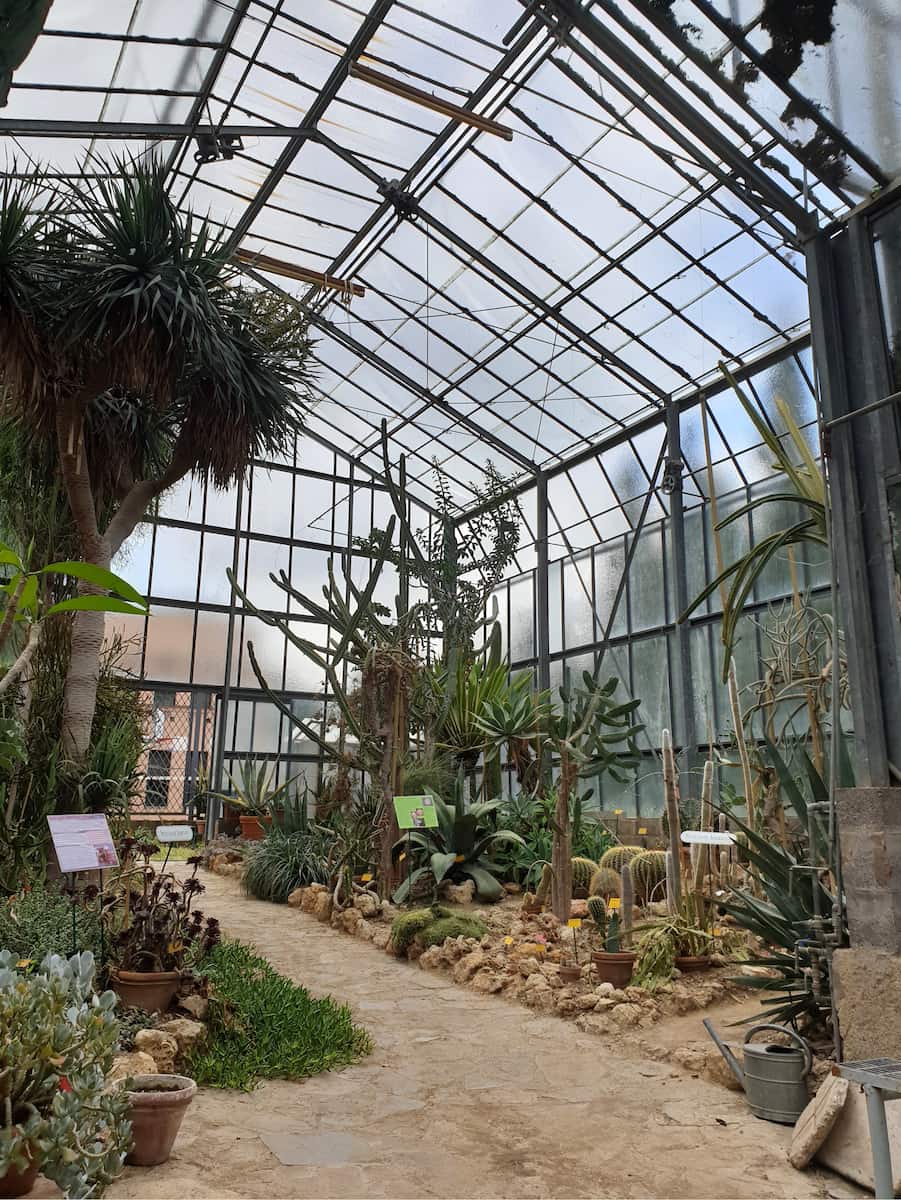Orto Botanico dell'Università di Siena Orto Botanico dell'Università di Siena