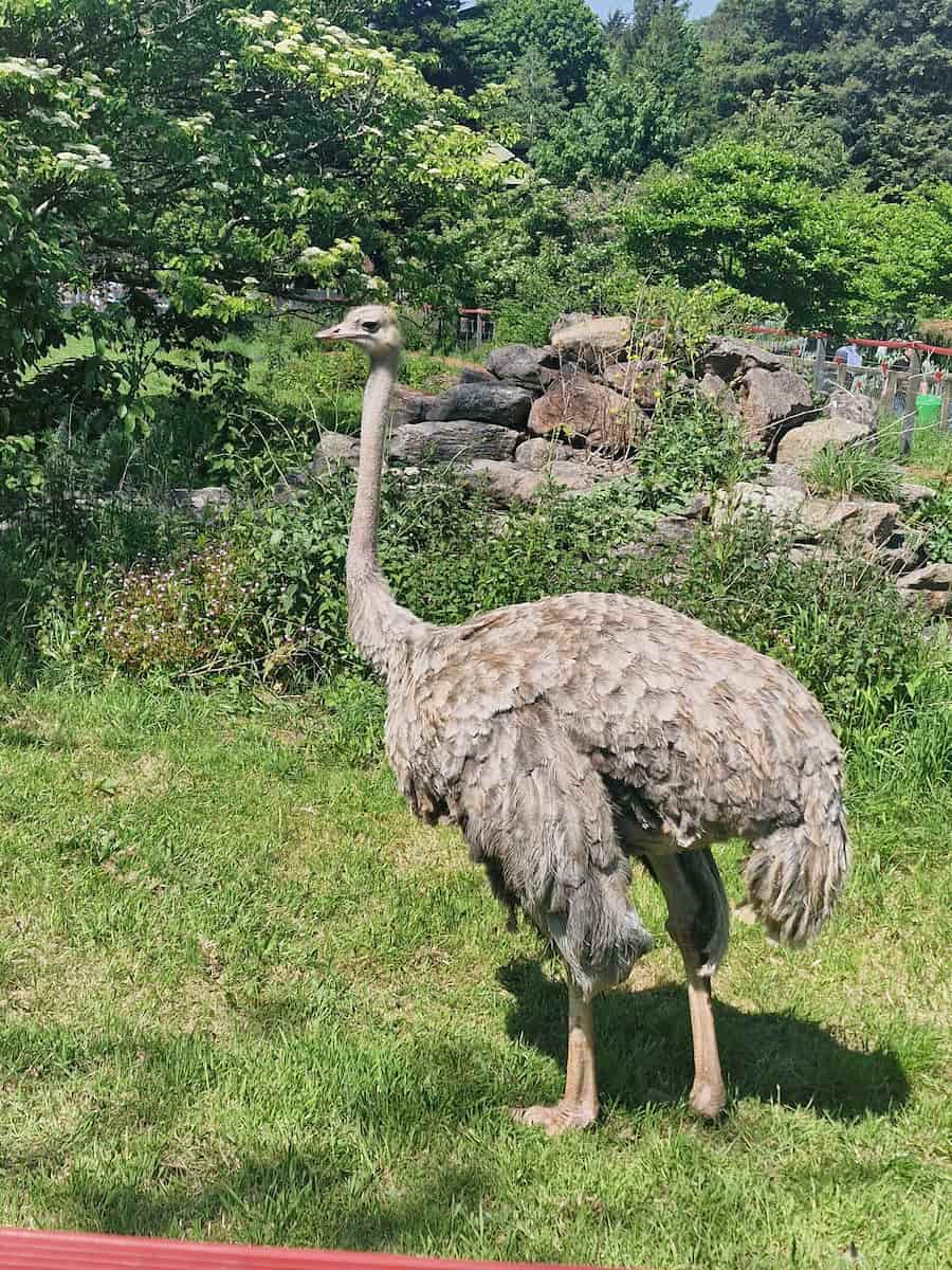 Paignton Zoo Environmental Park Paignton Zoo Environmental Park