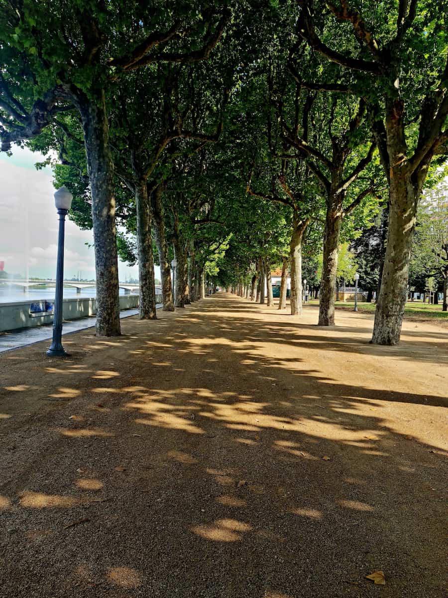 Parque Manuel Braga Coimbra Parque Manuel Braga Coimbra