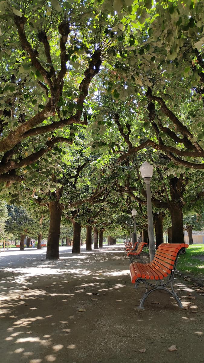 Parque Manuel Braga Coimbra Parque Manuel Braga Coimbra