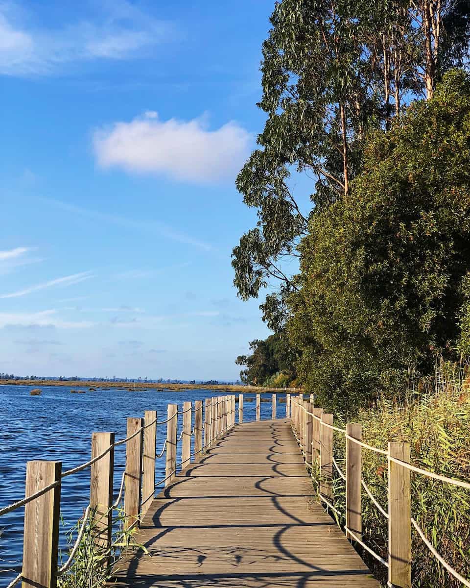 Passadiços Ria de Aveiro Passadiços Ria de Aveiro