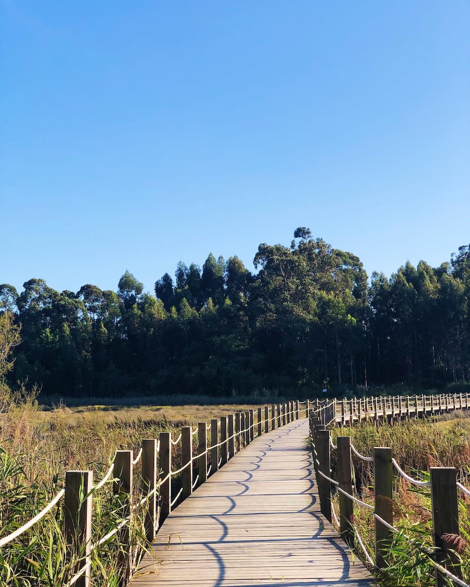 Passadiços Ria de Aveiro Passadiços Ria de Aveiro