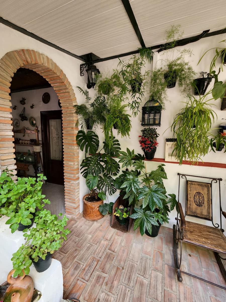 Patios Córdoba Patios Córdoba