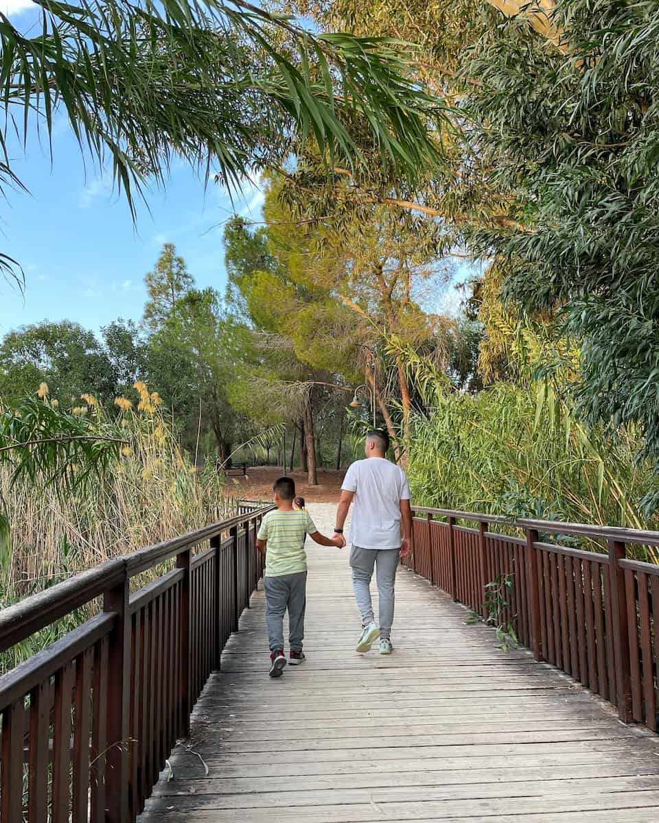 Pattihio Forest Park, Larnaca Pattihio Forest Park, Larnaca