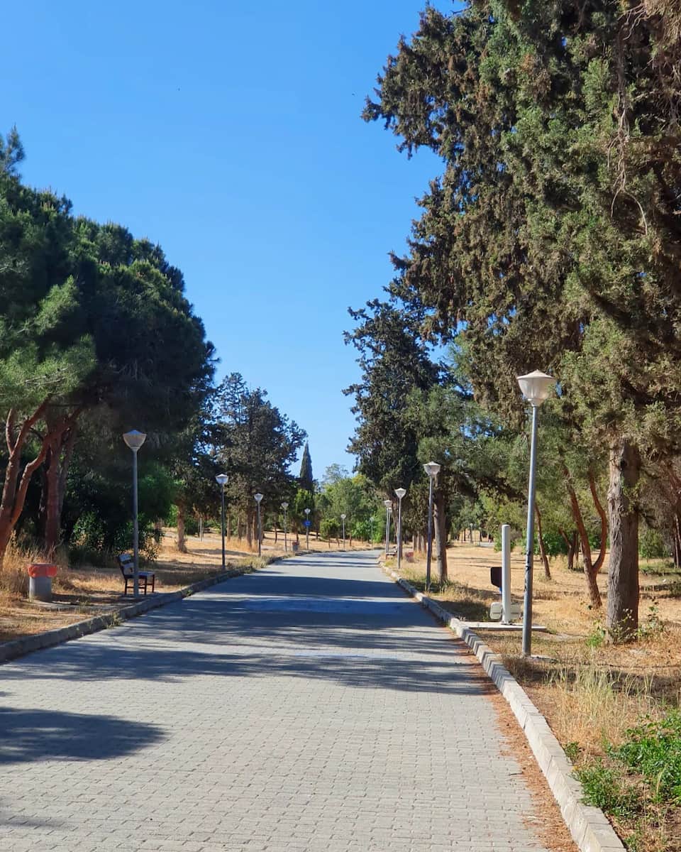 Pattihio Forest Park, Larnaca Pattihio Forest Park, Larnaca