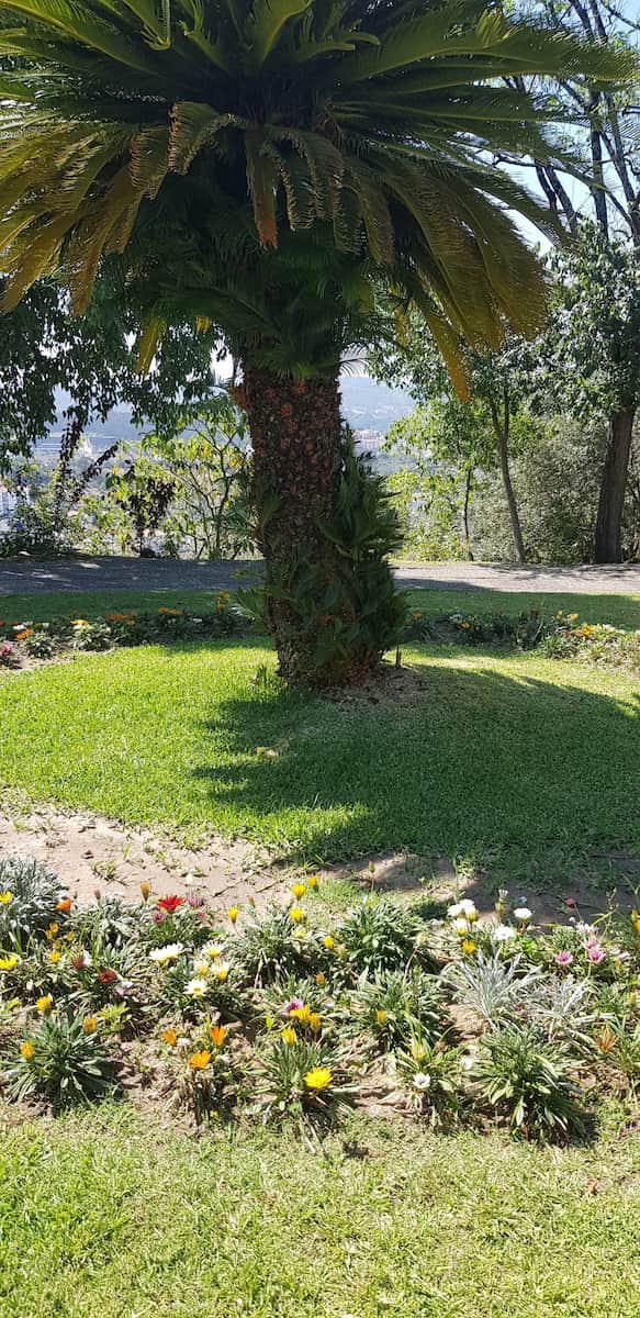 Penedo da Saudade Coimbra Penedo da Saudade Coimbra