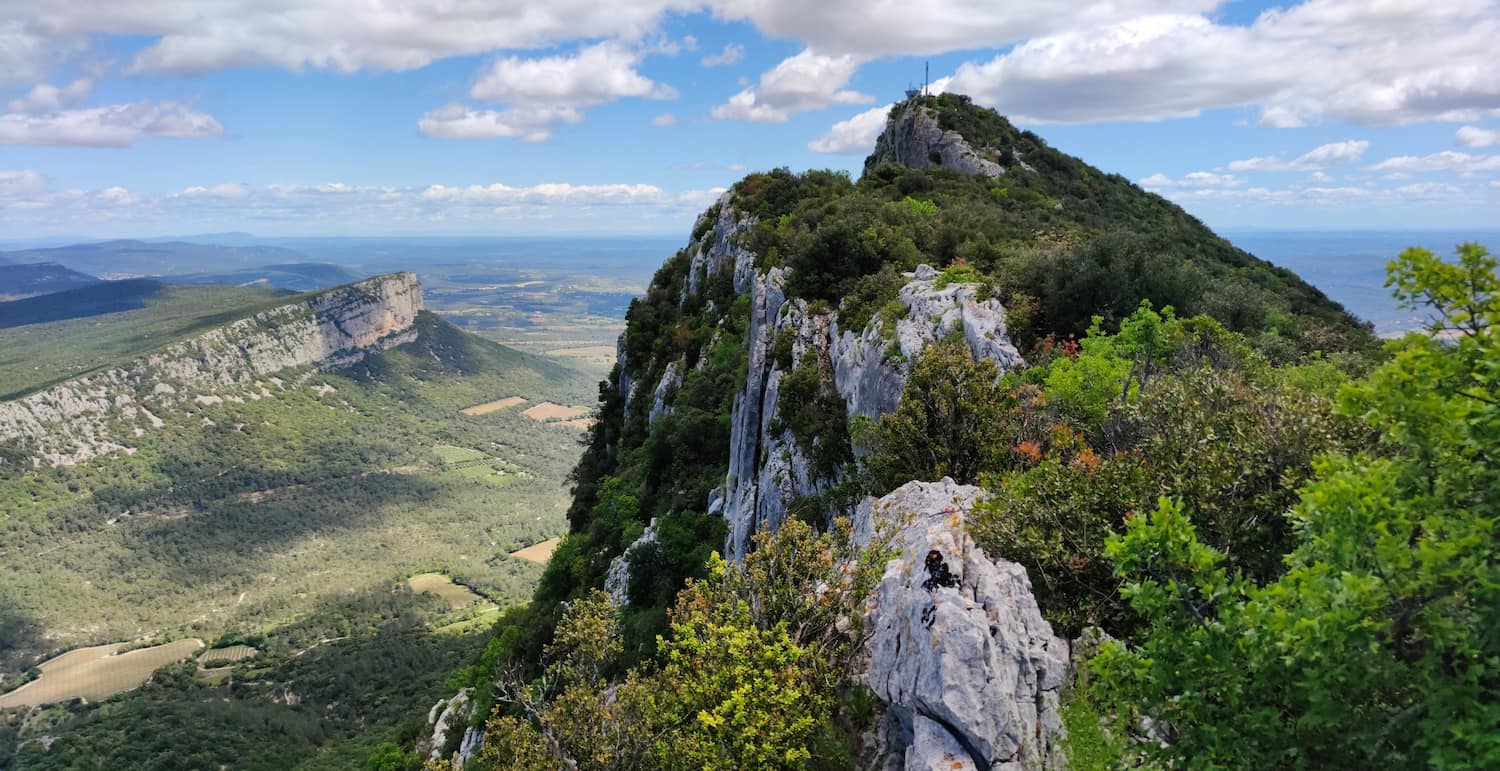 Pic Saint-Loup Pic Saint-Loup