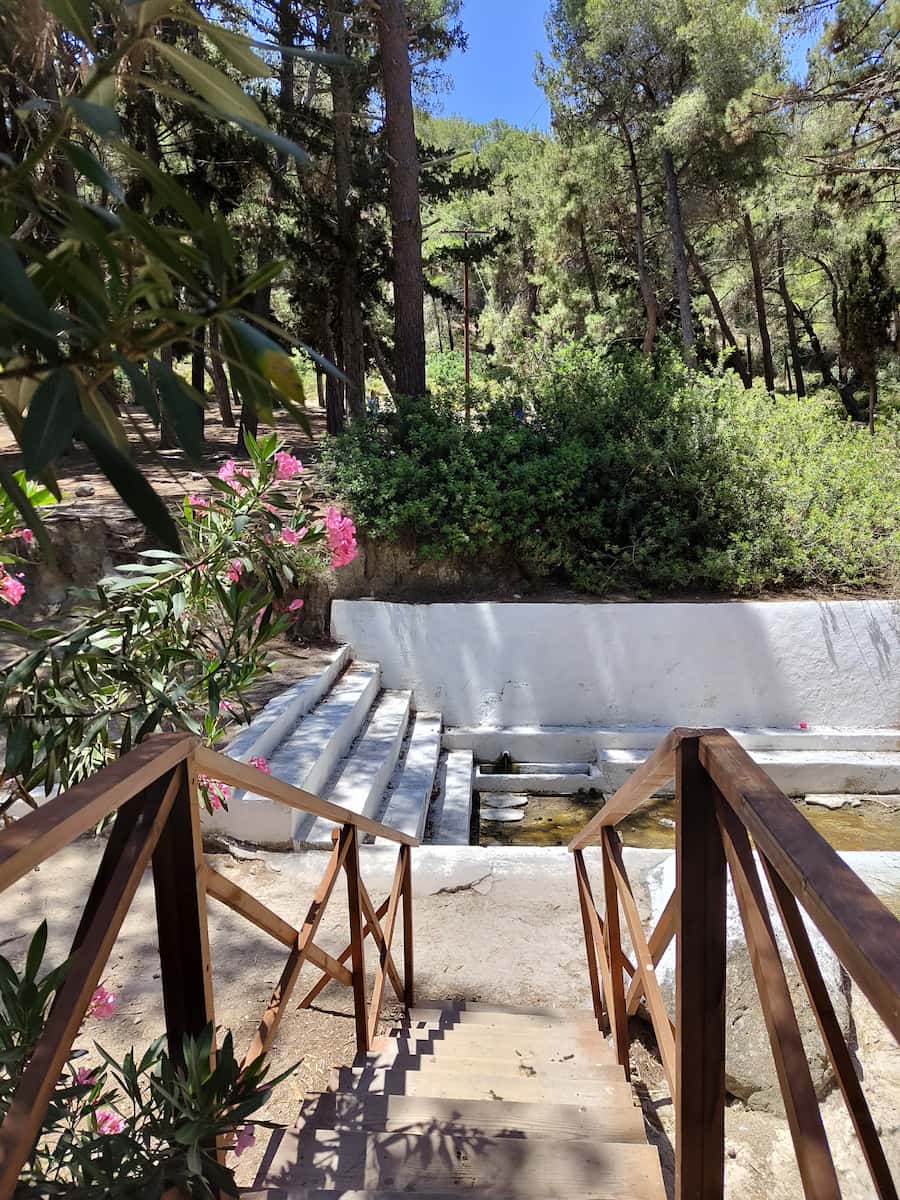 Plaka Forest Kos Plaka Forest Kos