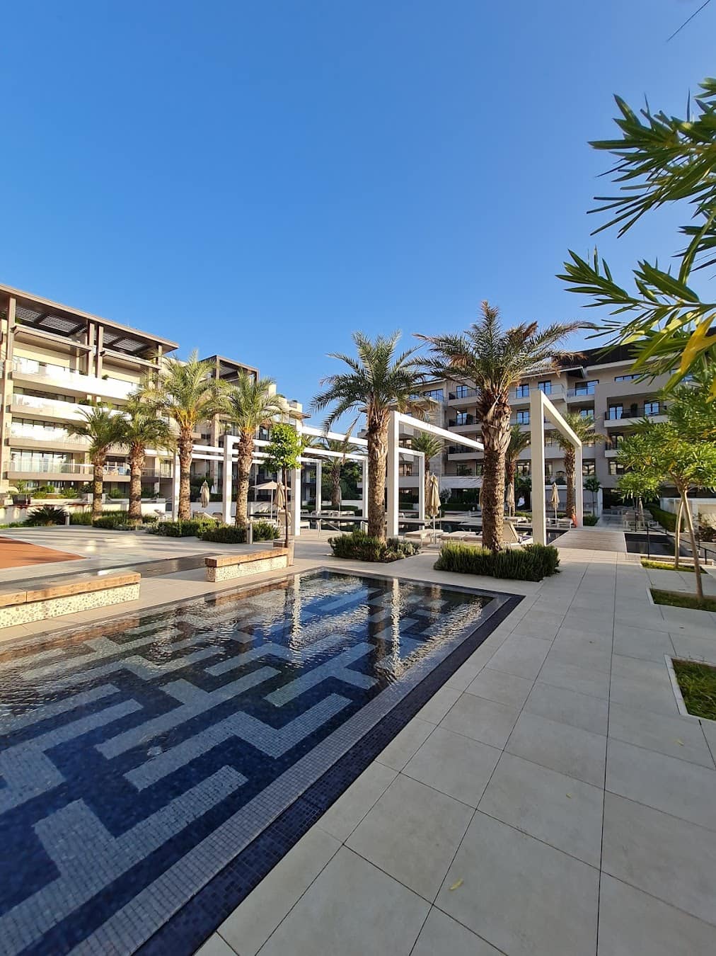 Porto Montenegro Courtyard With Palm Trees Porto Montenegro Courtyard With Palm Trees