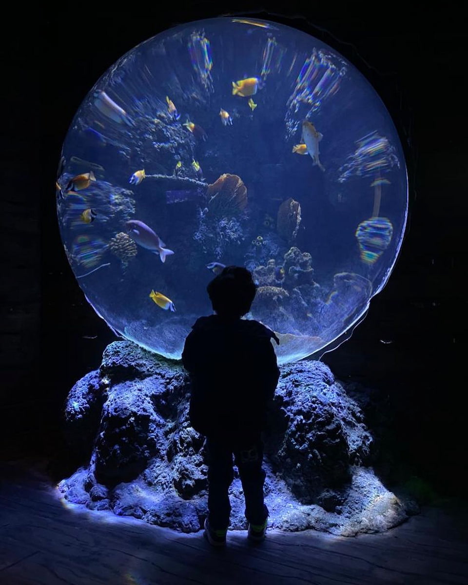 Porto: Sea Life Porto: Sea Life