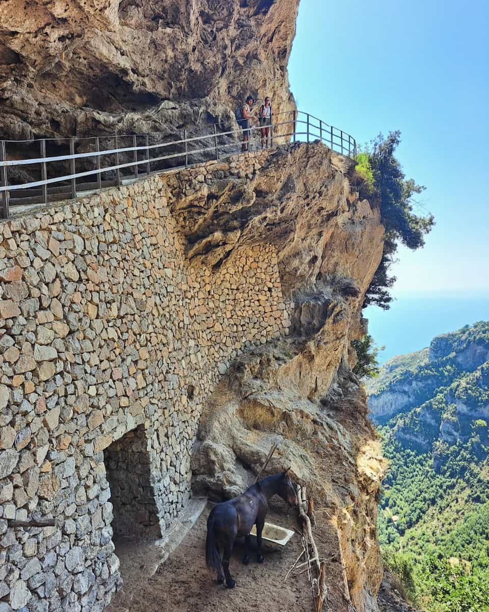 Positano: Sentiero Degli Dei Positano: Sentiero Degli Dei