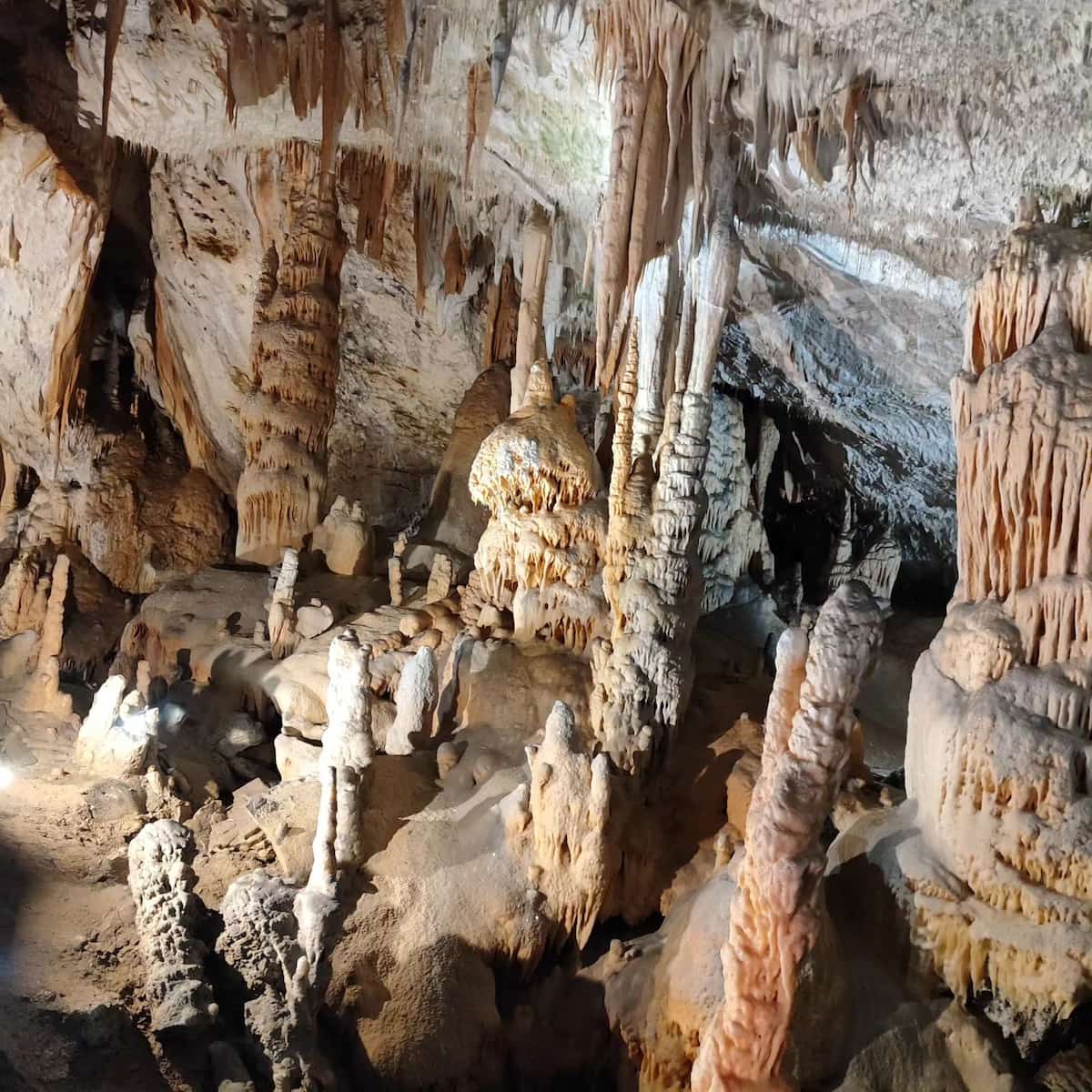 Postojna Cave Postojna Cave