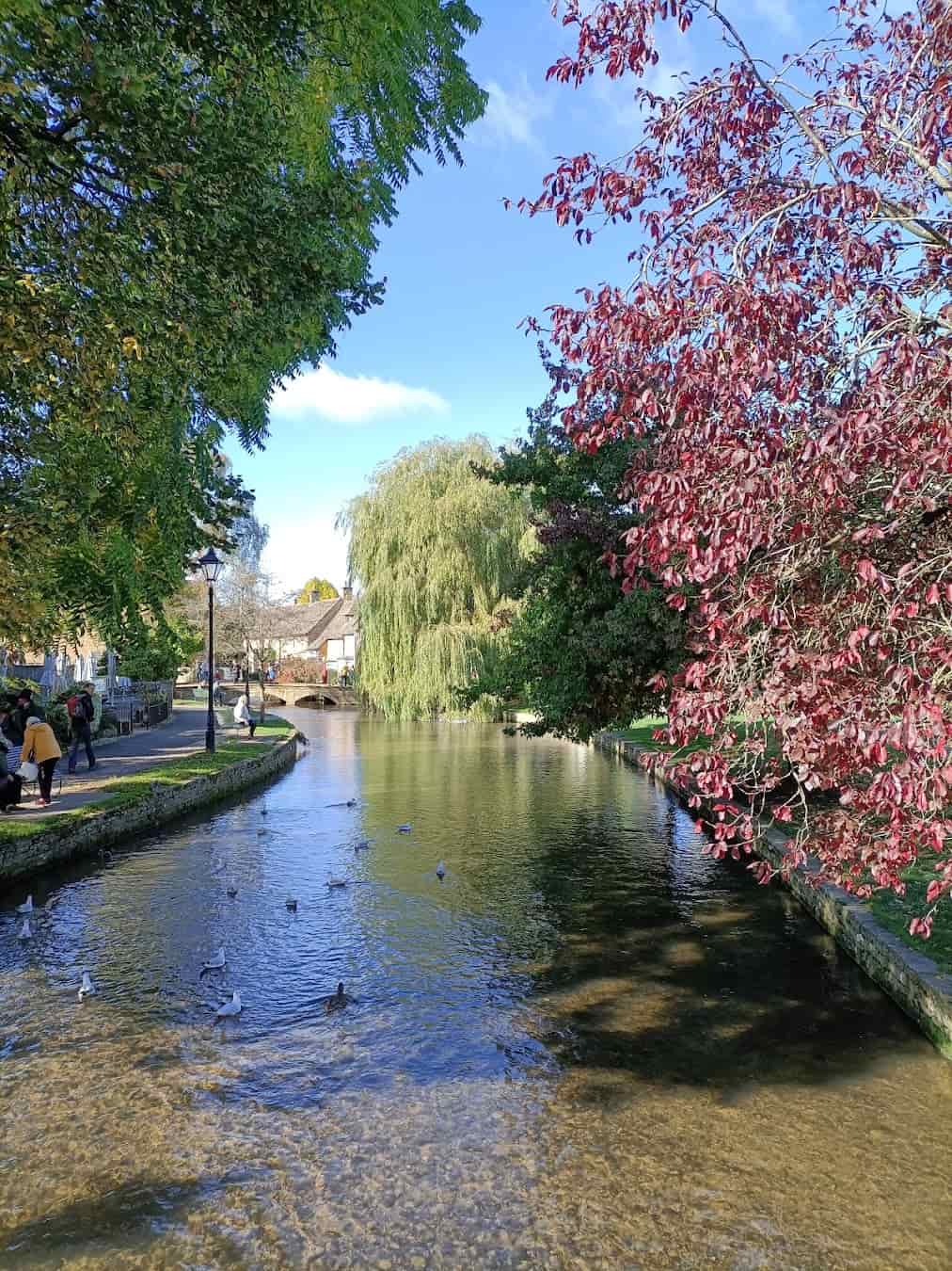 River Windrush, England River Windrush, England