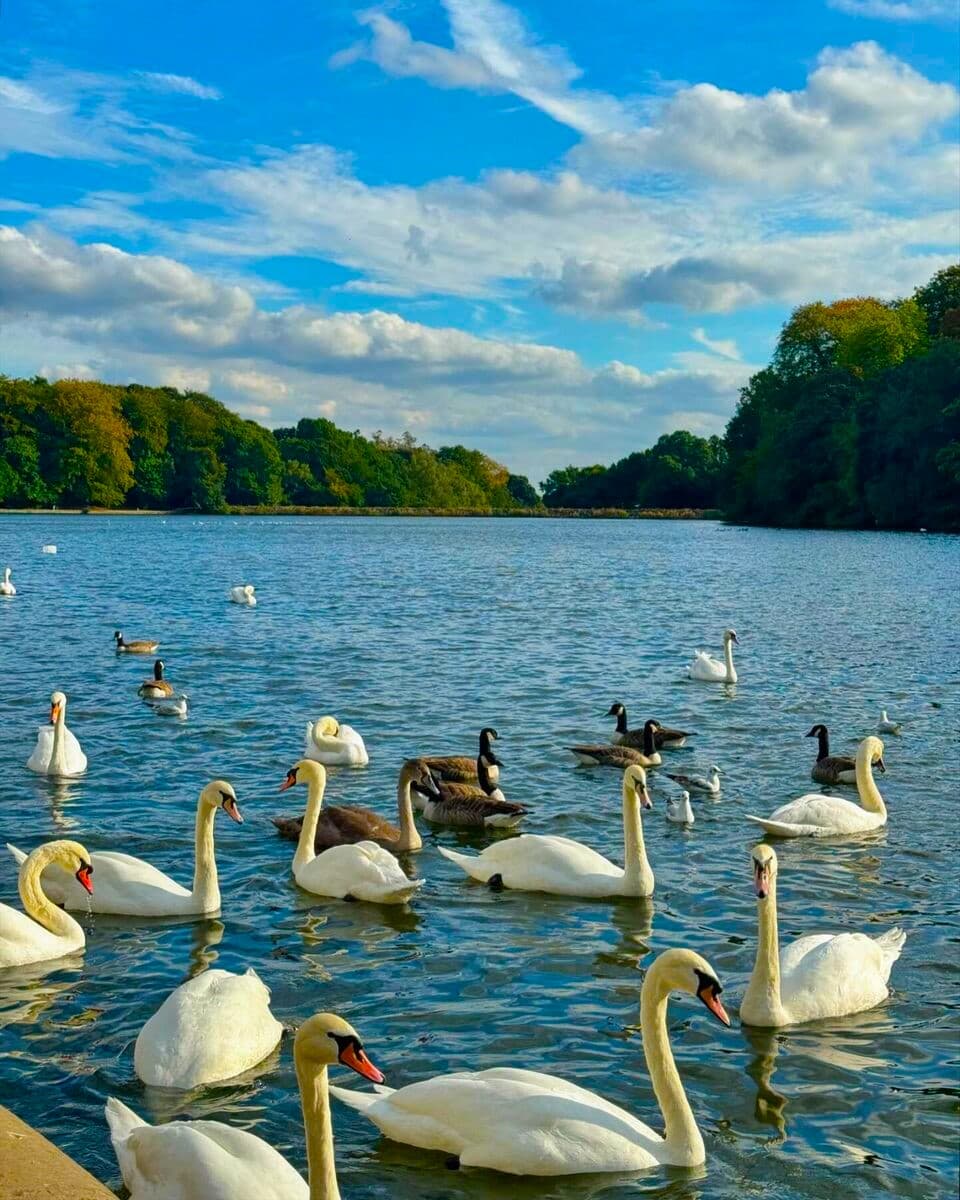 Roundhay Park, Leeds Roundhay Park, Leeds
