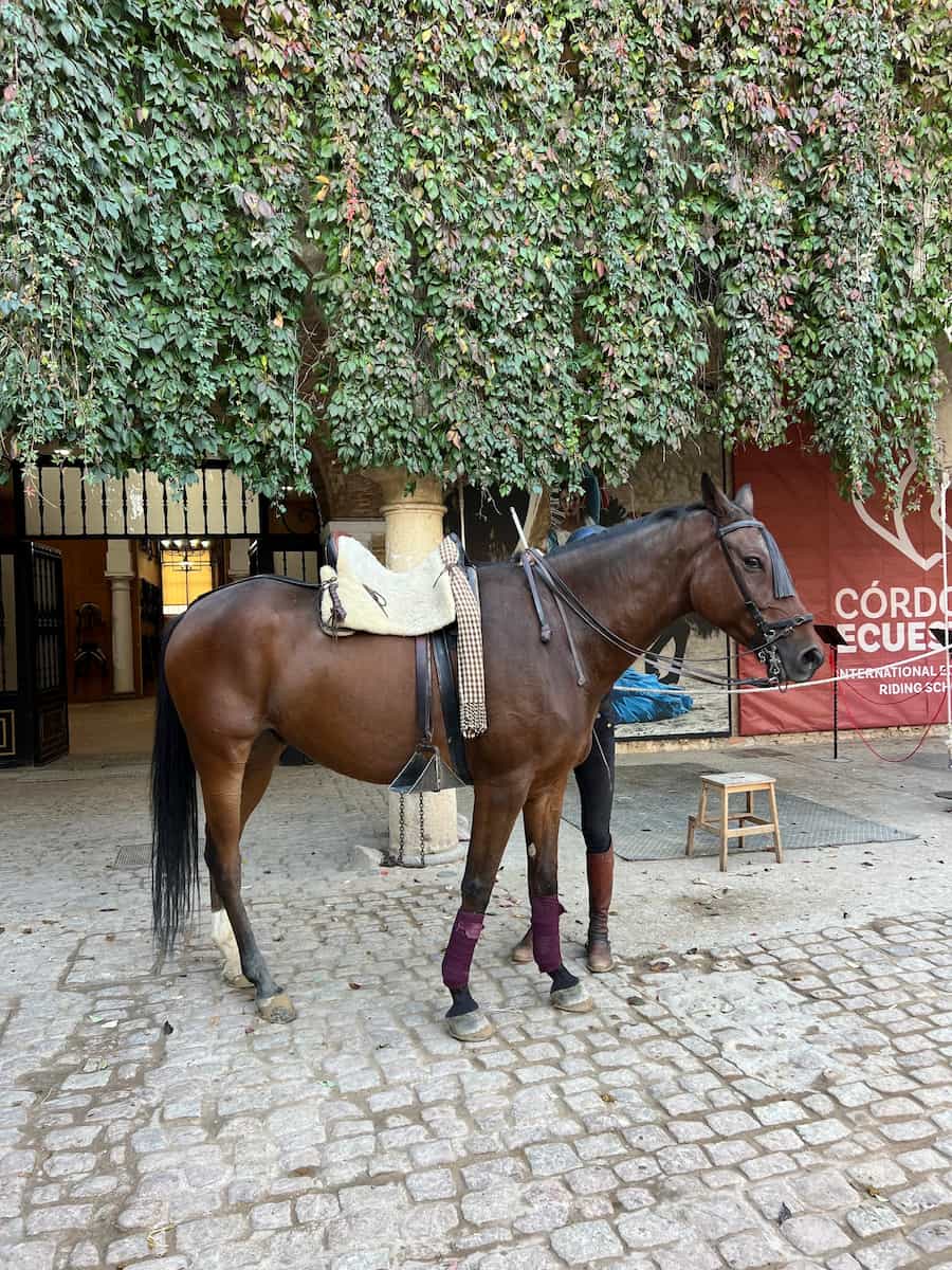 Royal Stables Córdoba Royal Stables Córdoba