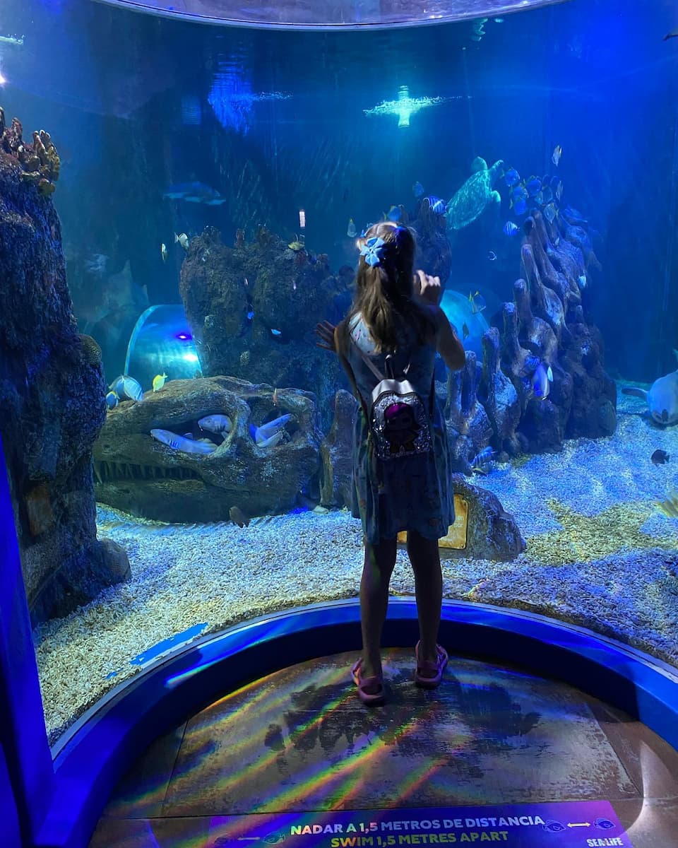 SEA LIFE Benalmadena SEA LIFE Benalmadena
