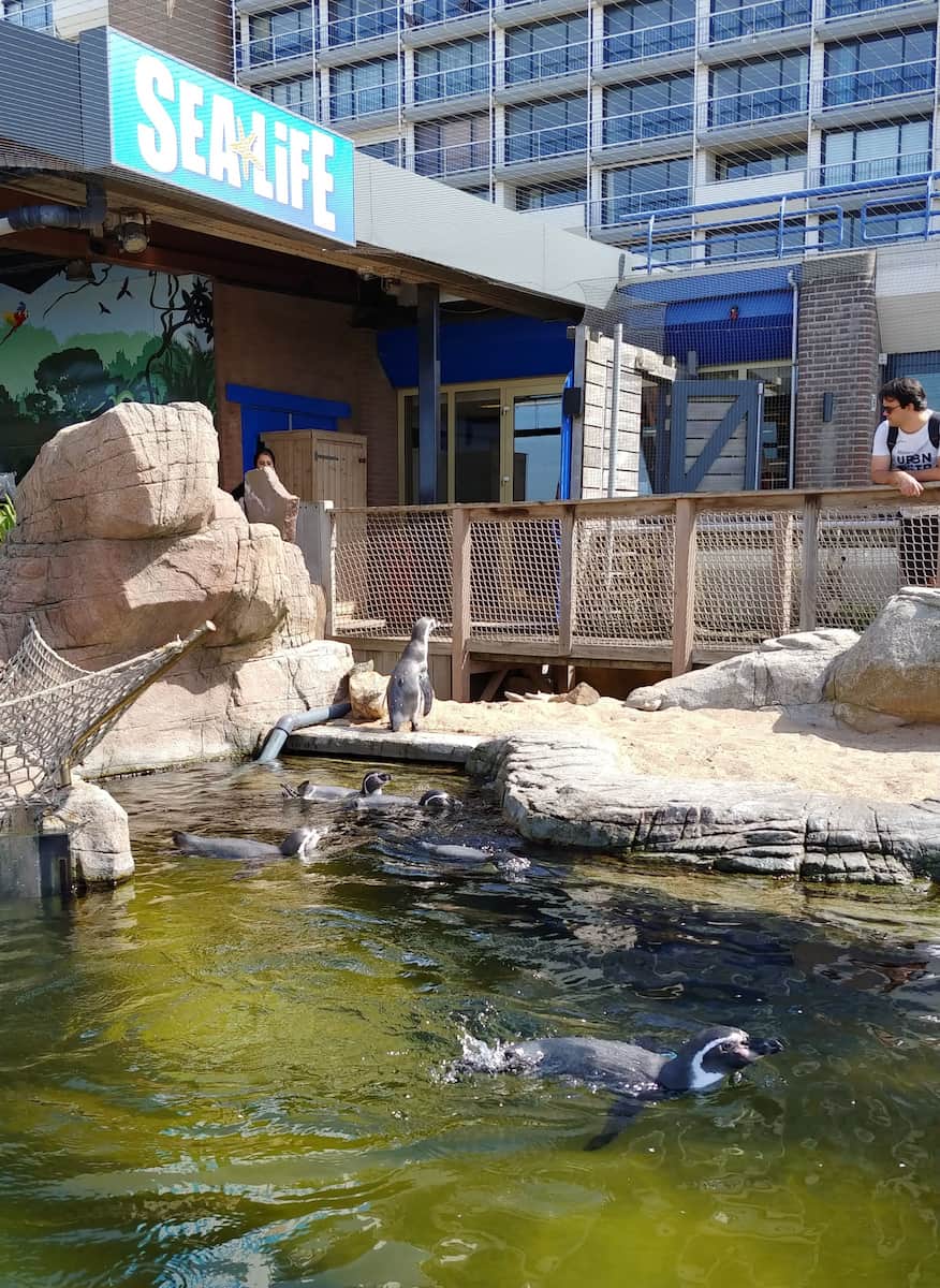 SEA LIFE Scheveningen, Hague SEA LIFE Scheveningen, Hague