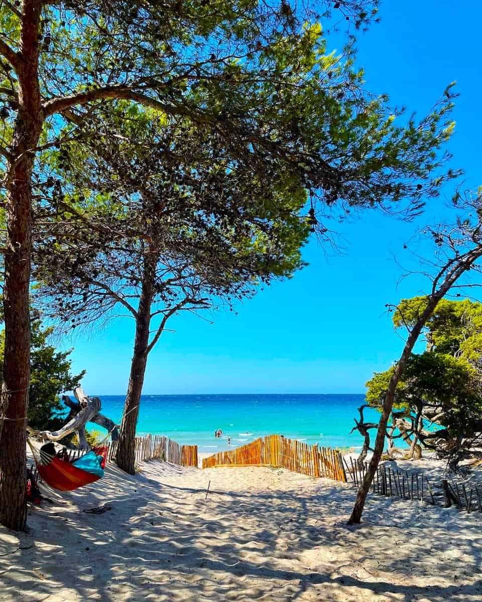 Saleccia Beach, Corsica Saleccia Beach, Corsica