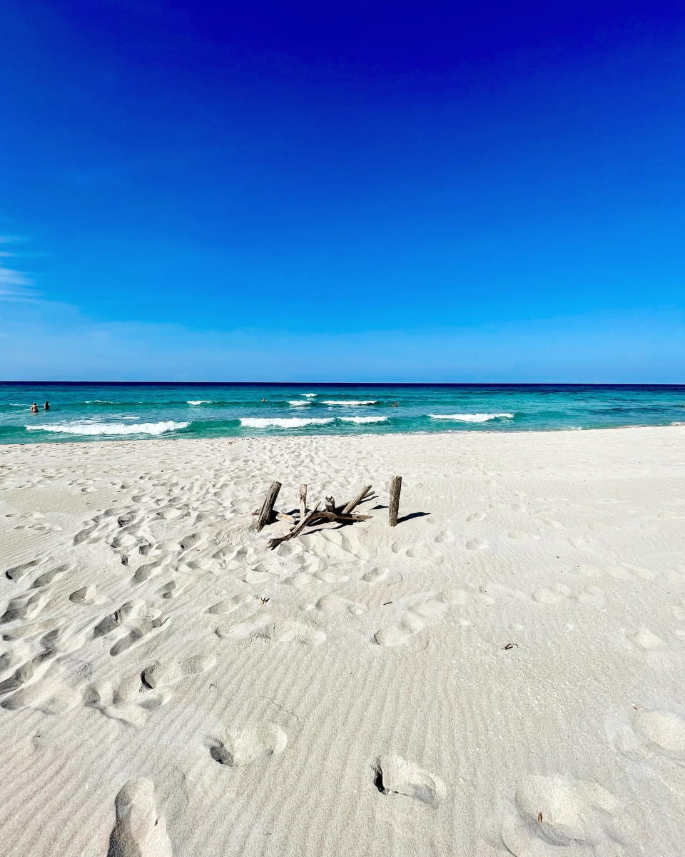 Saleccia Beach, Corsica Saleccia Beach, Corsica