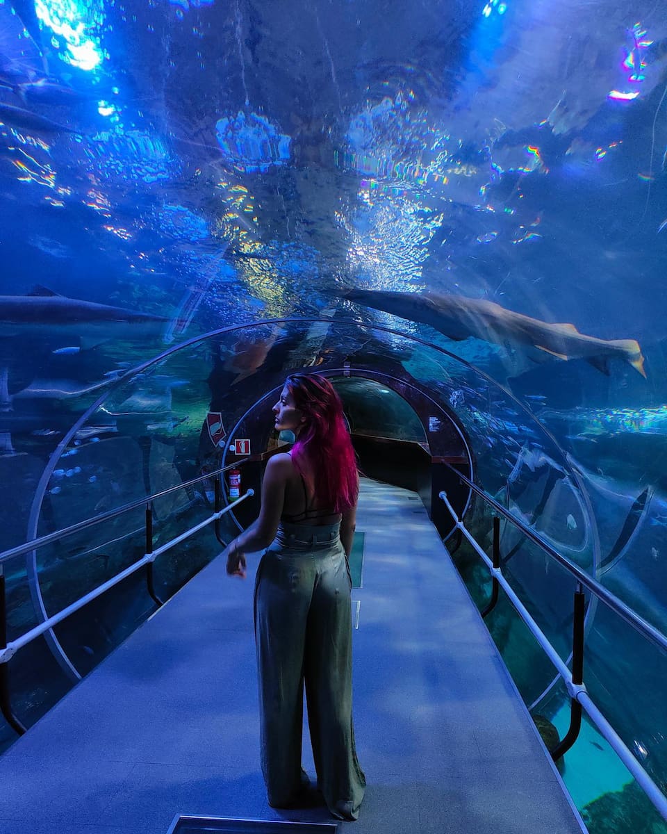 San Sebastian: Aquarium San Sebastian: Aquarium