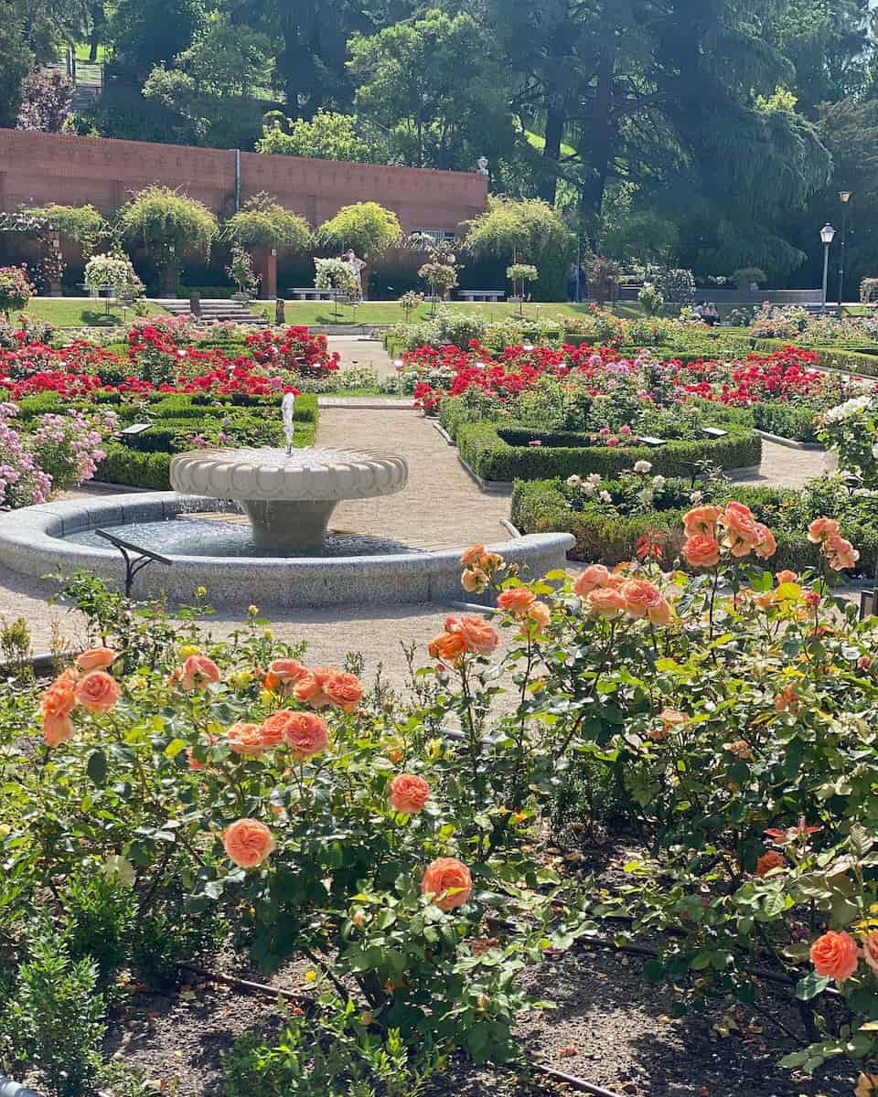 San Sebastian: Concurso Internacional de Rosas Nuevas San Sebastian: Concurso Internacional de Rosas Nuevas