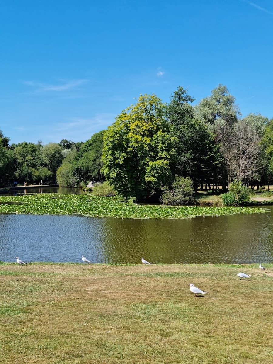 Staunton Country Park, Hampshire Staunton Country Park, Hampshire