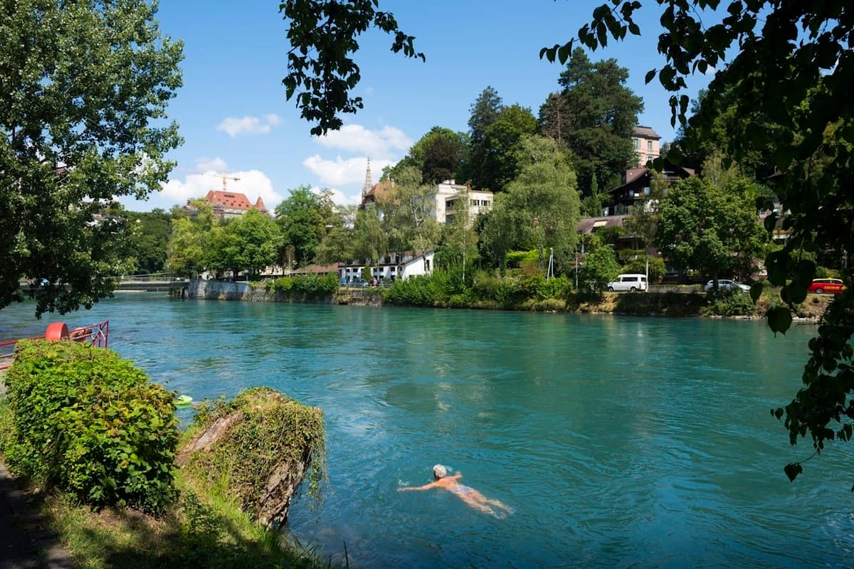 Summer swimming in the Aare River, Bern Summer swimming in the Aare River, Bern