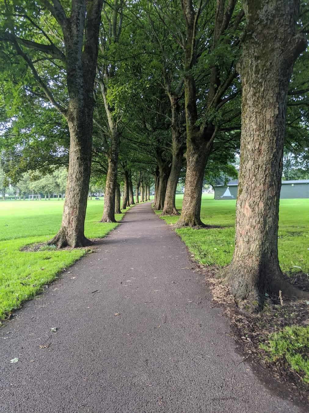 Summer Ribbleton Park, Preston Summer Ribbleton Park, Preston