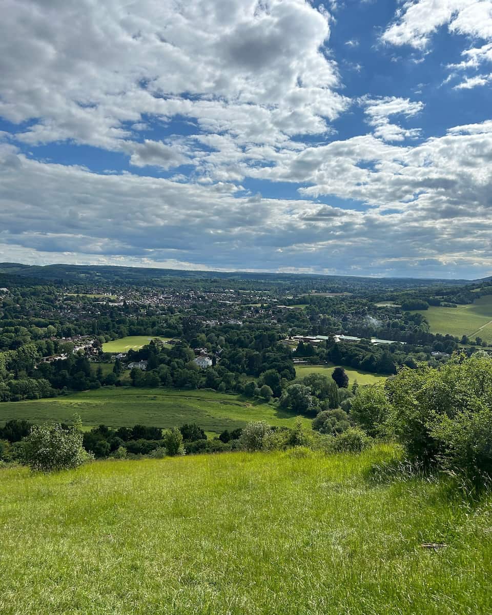 Surrey Hills, Box Hill Surrey Hills, Box Hill